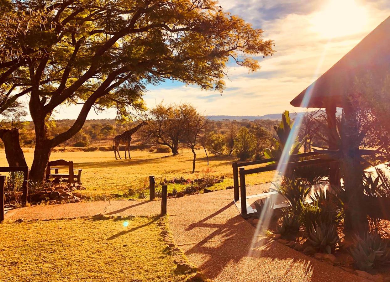 Kololo Game Reserve Vaalwater Exterior photo